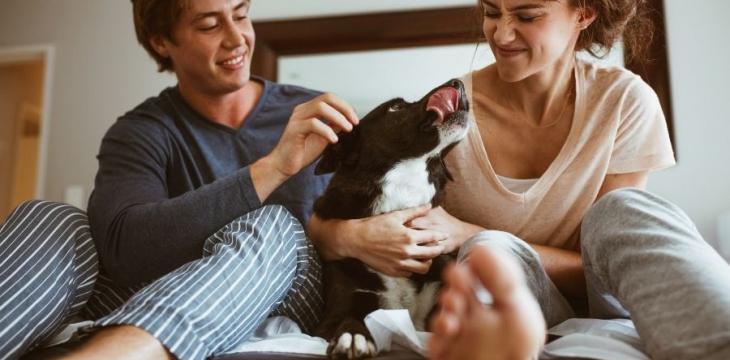 Perfil dos consumidores de imóveis passa por mudanças